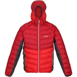 Textile Doudoune Regatta Harrock Rouge