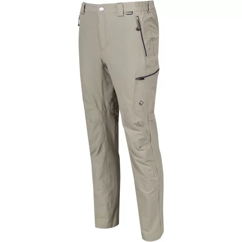 Textile Pantalon Regatta Highton Trousers Sable
