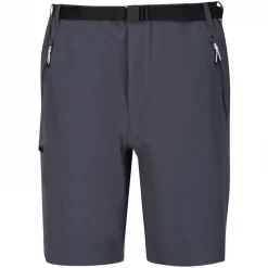 Textile Short Regatta Xert Stretch Shorts III Gris